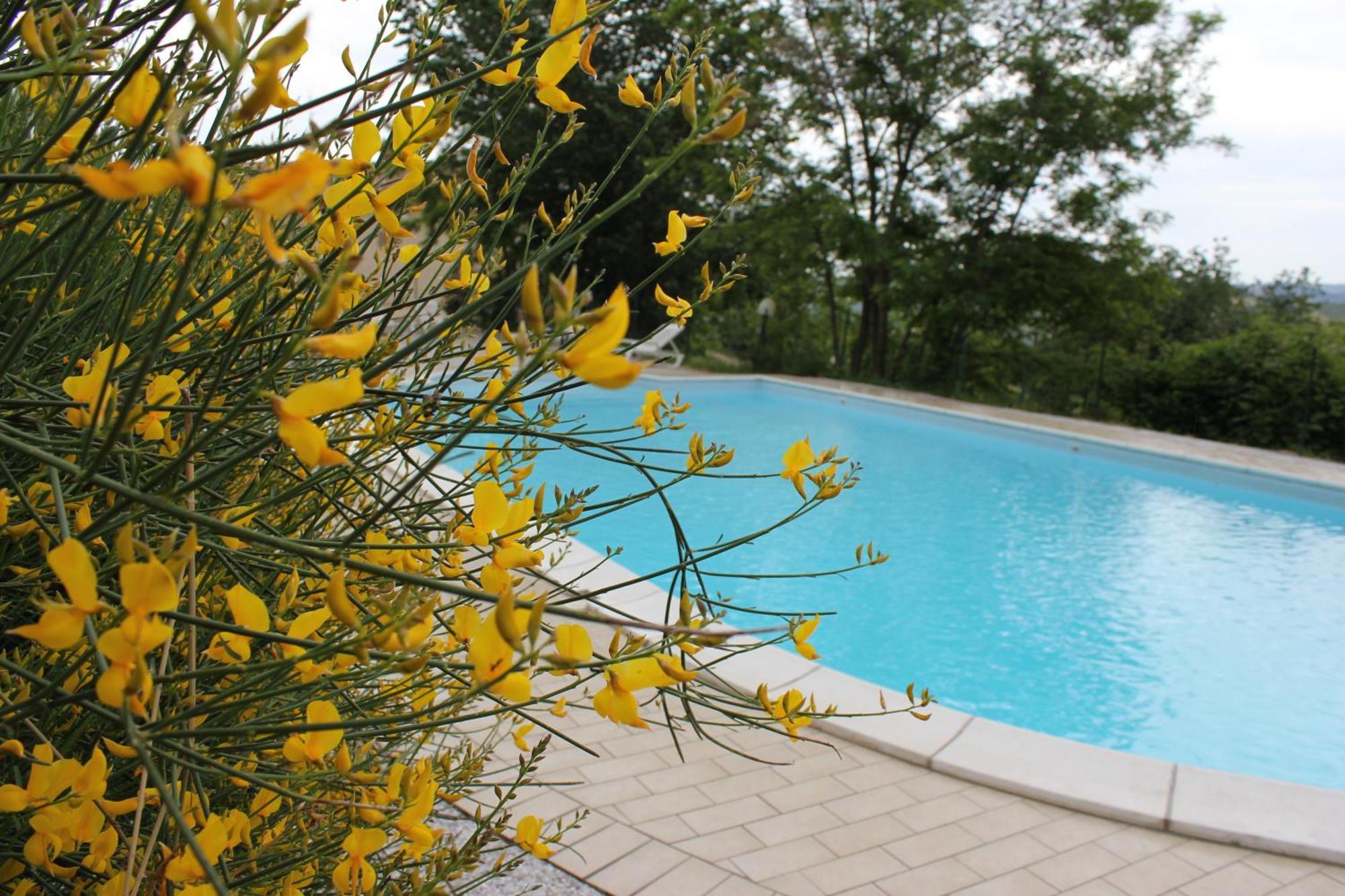 Agriturismo La Valle Del Vento אורבינו מראה חיצוני תמונה