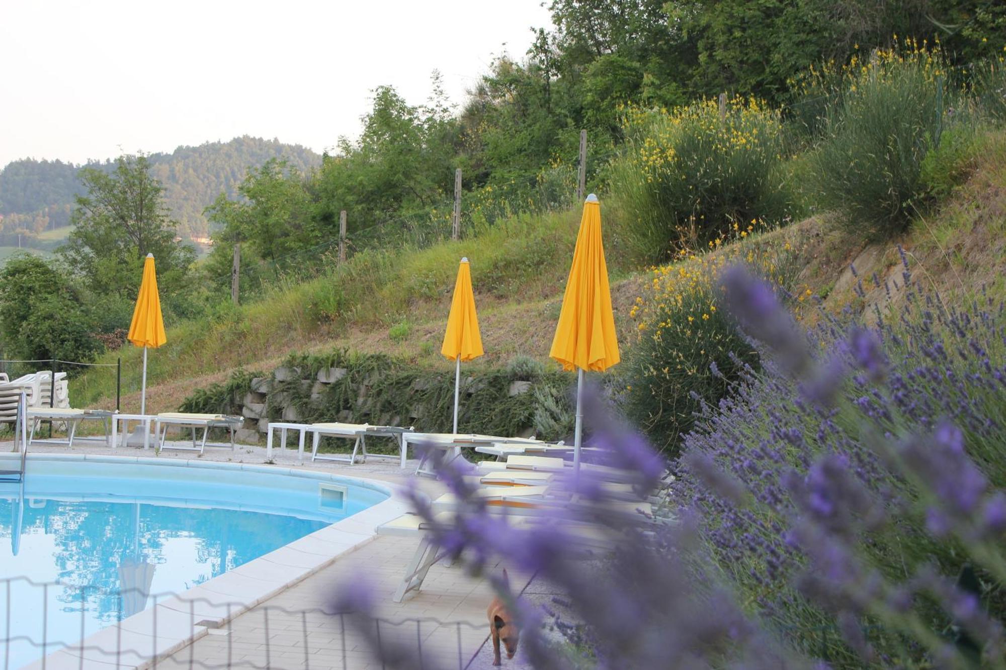 Agriturismo La Valle Del Vento אורבינו מראה חיצוני תמונה