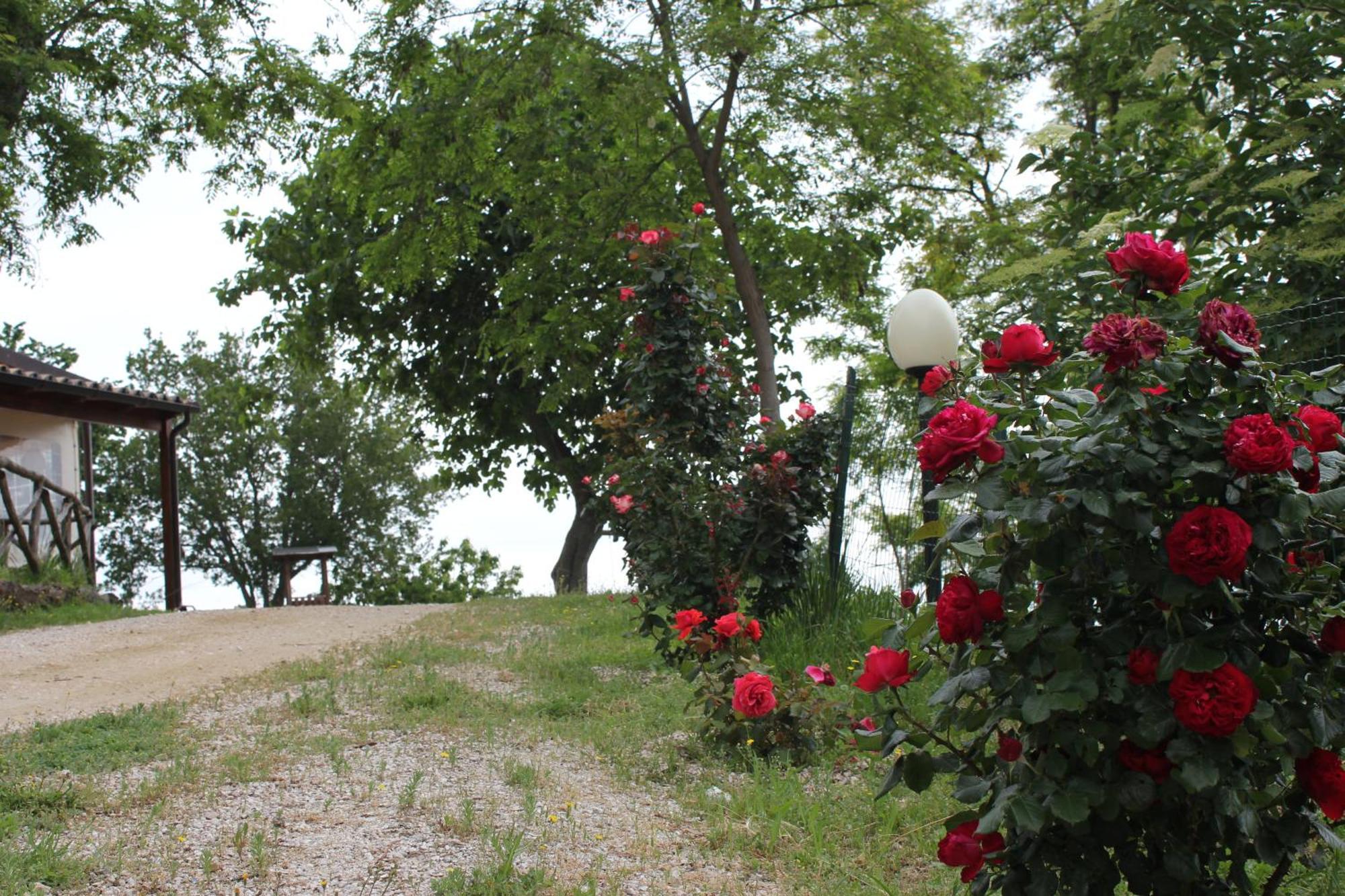 Agriturismo La Valle Del Vento אורבינו מראה חיצוני תמונה